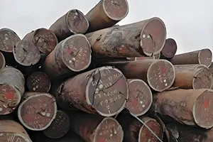 واردات چوب ساپلی چین افزایش یافته است