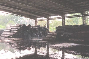 ویتنام سهم واردات بیشتری از چوب سخت آمریکایی را می گیرد